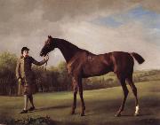 George Stubbs Lustre hero by a Groom oil painting on canvas